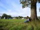 camping wald von fouesnant