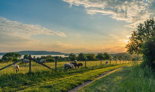 fahhradurlaub am bodensee