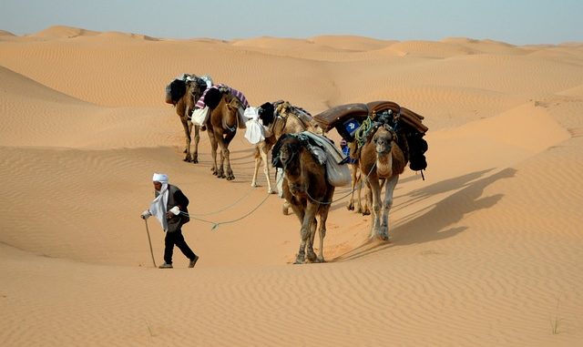 tunisia-733601_640