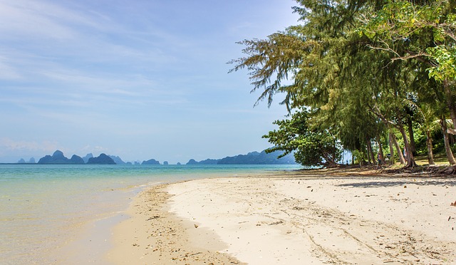 beach-2404709_640