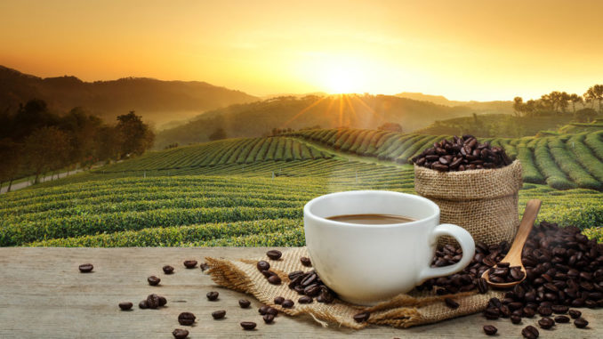 Hot Coffee cup with Coffee beans on the wooden table and the pla