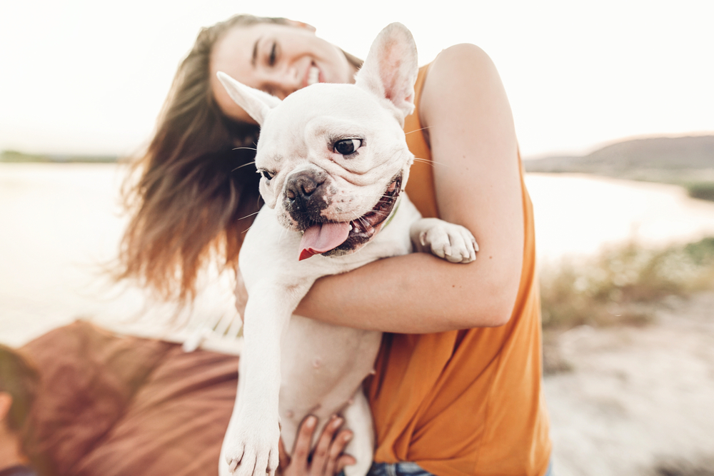 Reisen mit Hund: Tipps für die Reiseplanung - travelty.de  Das 