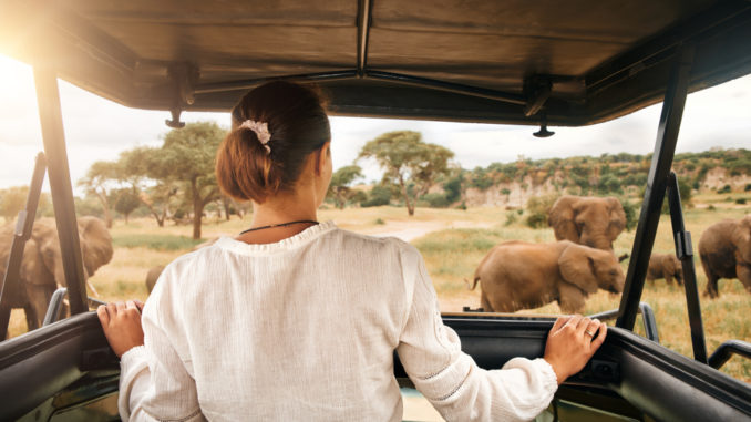 Woman,Tourist,On,A,Safari,In,Africa,,Traveling,By,Car